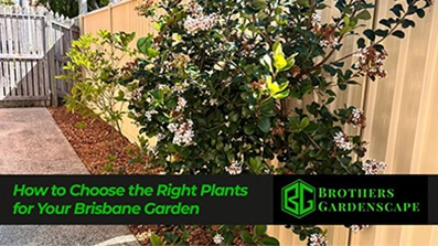 Landscaping in Brisbane