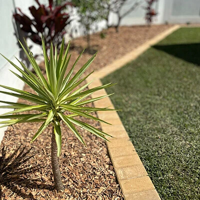 Gardeners in Brisbane