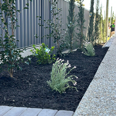 Gardeners in Brisbane