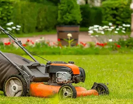 Garden Maintenance Services Brisbane