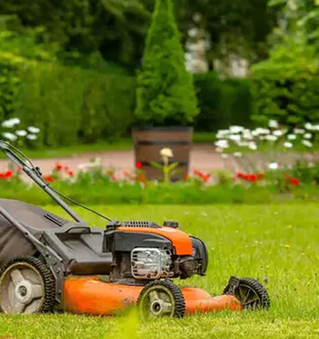 Garden Maintenance Brisbane