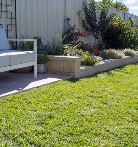 Lawn Solutions Brisbane