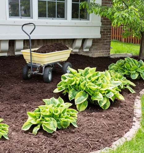 Mulching Services Brisbane